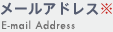 メールアドレス　E-mail
